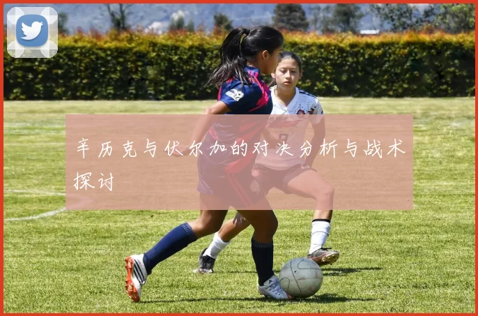 辛历克与伏尔加的对决分析与战术探讨